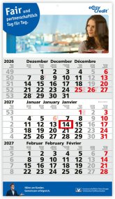 3-Monatskalender Monats Kalender 2025 Monatsplaner Primus 3