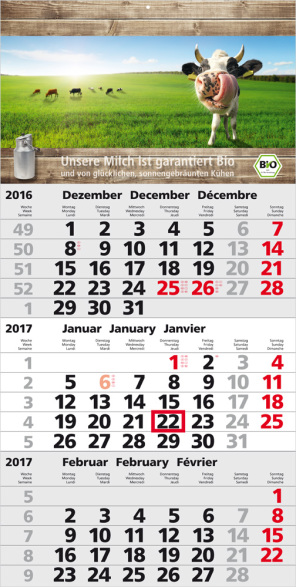Einblatt-Monatskalender/Planer Orbit 3